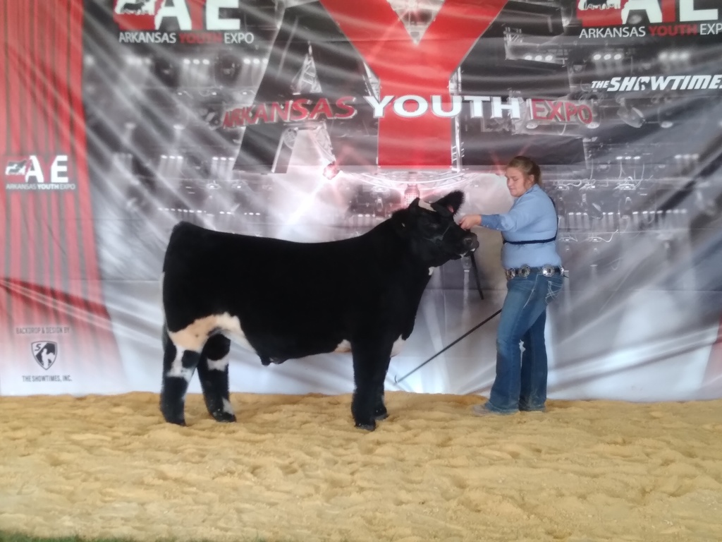 Arkansas Youth Expo