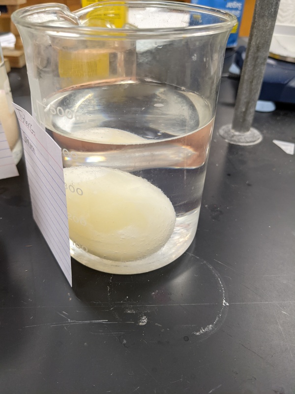diffusion lab with egg